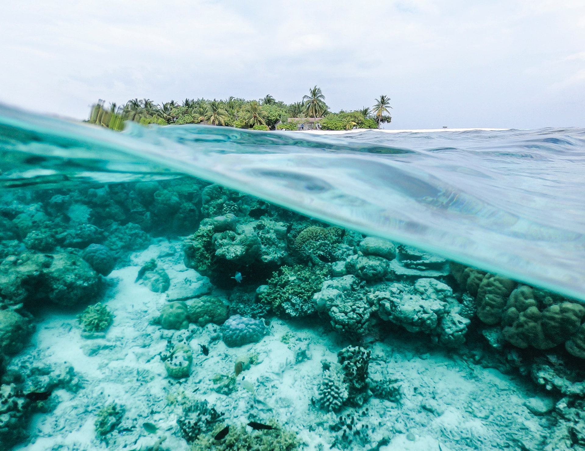 Scuba diving in Hawaii gives the best emotions!