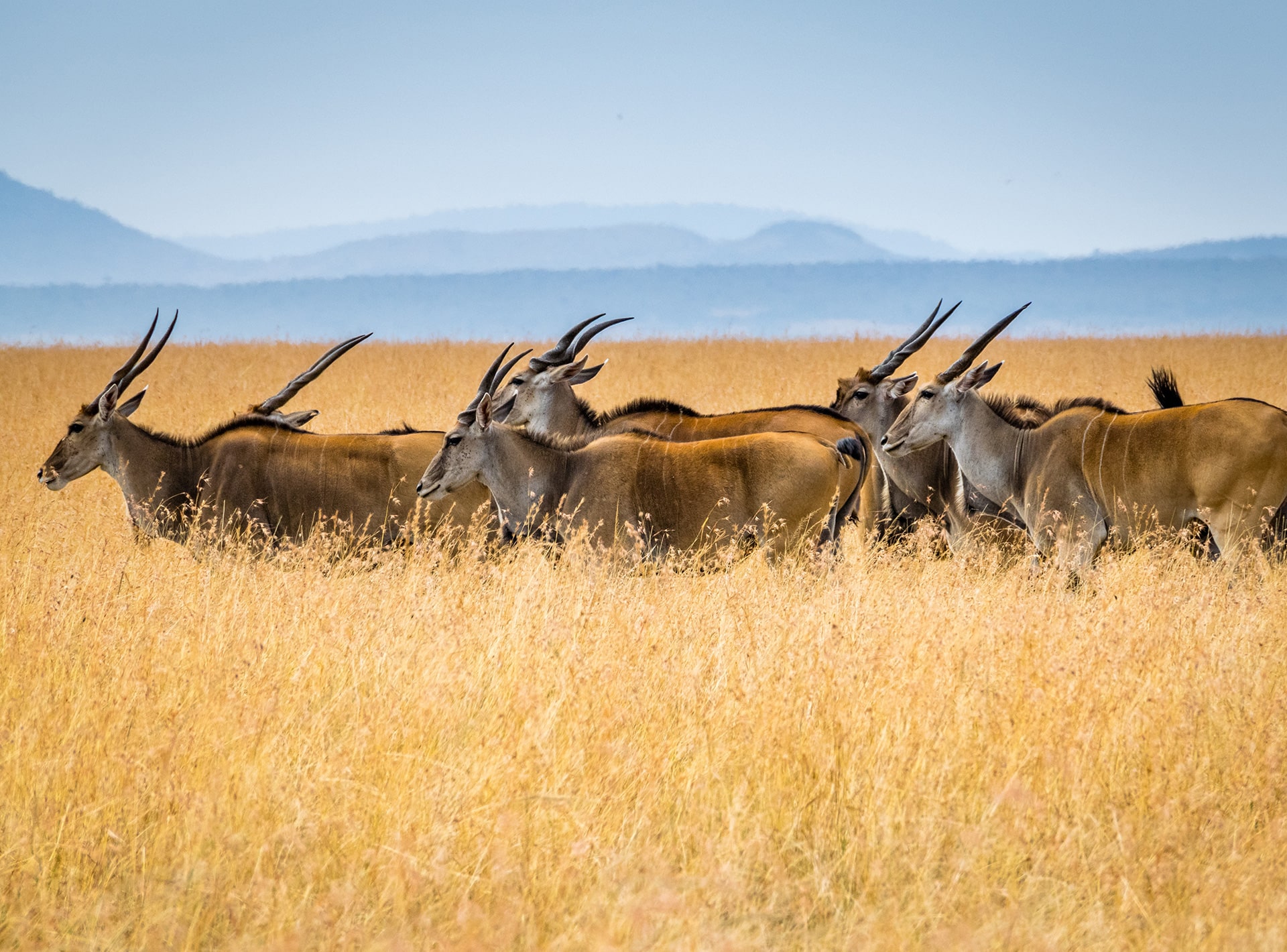 Tanzania and its exciting wildlife adventures